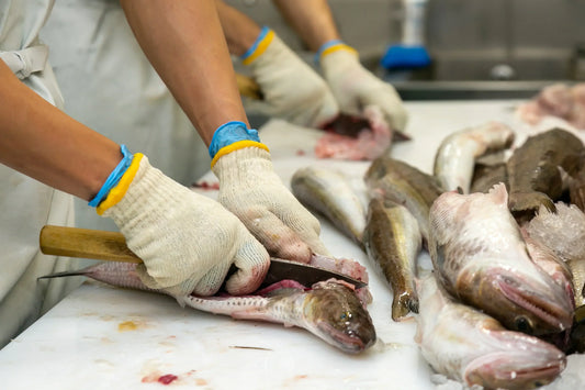 創業100年超の私たちが、あえて「非効率」な魚の自社加工を続ける理由