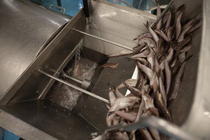 博多漁師のえそ生すり身（500g）｜鮮魚100％・無添加・国産手づくり【博水】